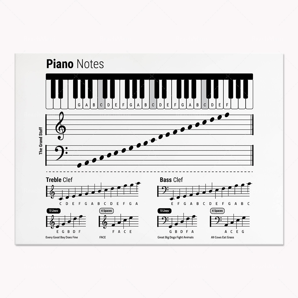 Guitar theory, piano, audio sp - Audio To Music Sheet review and price